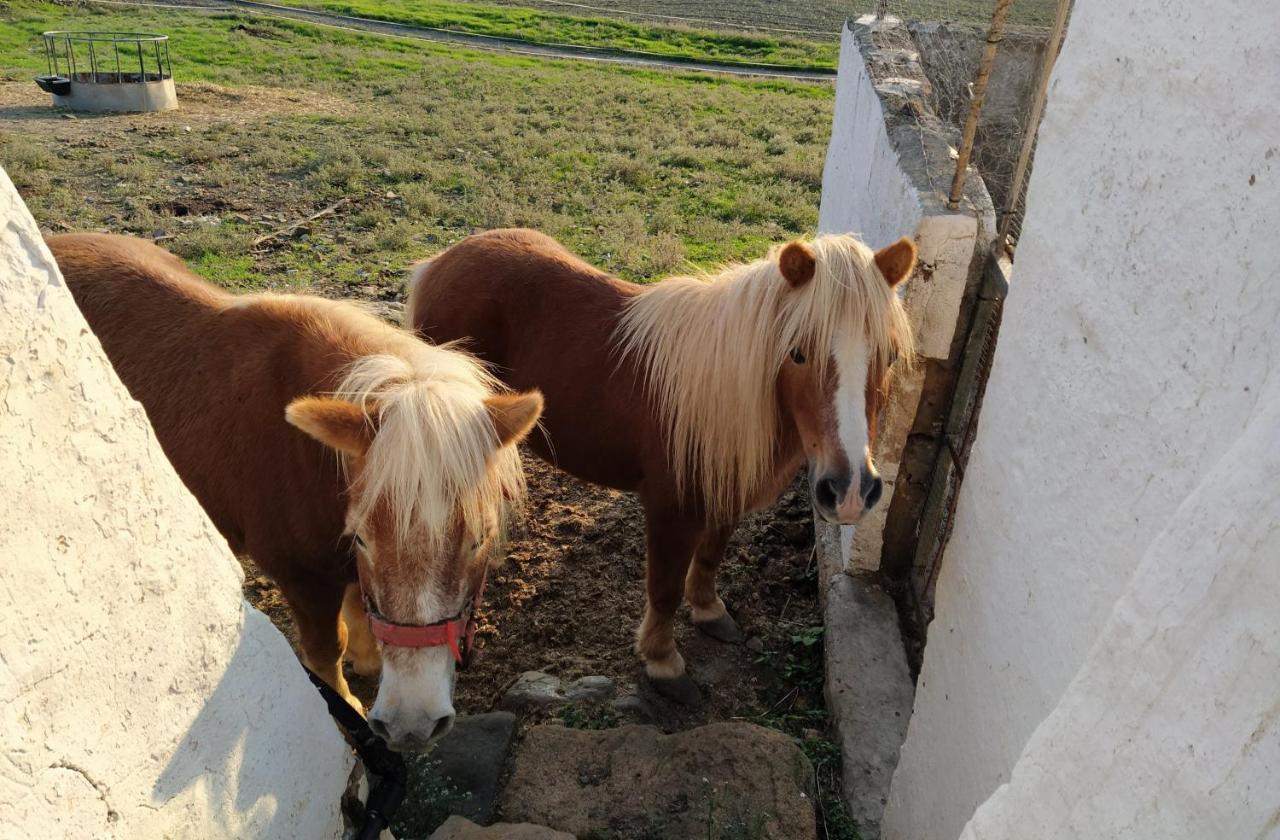 Casa rural reformada Bini Aumaia Es Mercadal Exterior foto