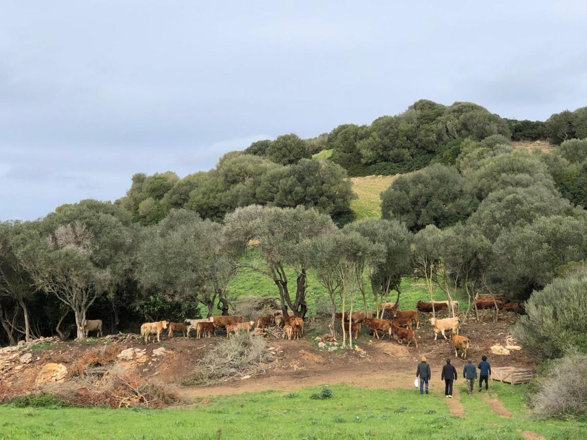 Casa rural reformada Bini Aumaia Es Mercadal Exterior foto