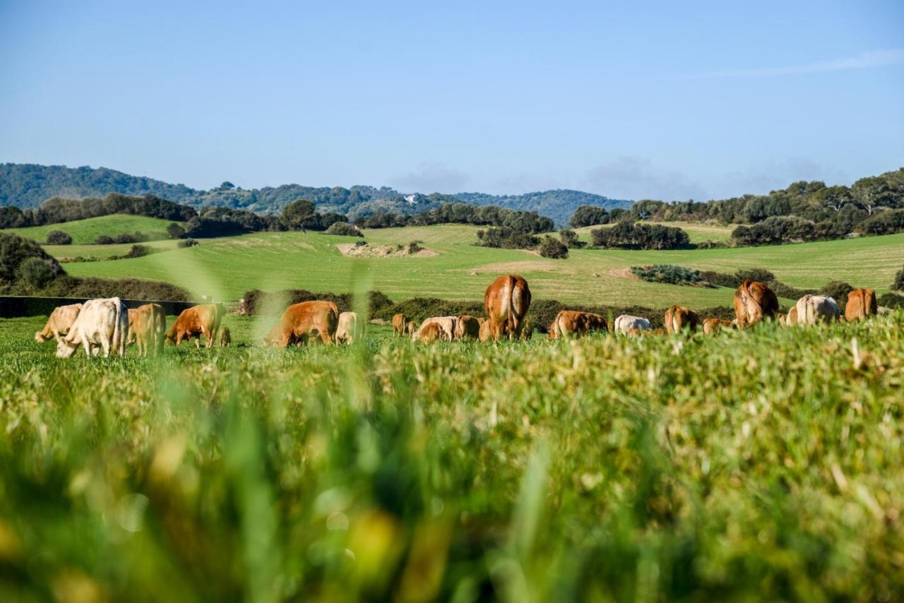 Casa rural reformada Bini Aumaia Es Mercadal Exterior foto